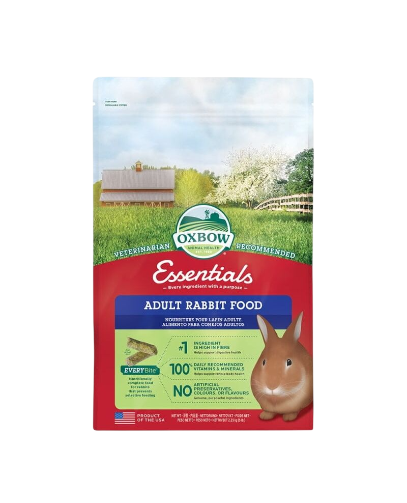 adult-rabbit_OX353200
